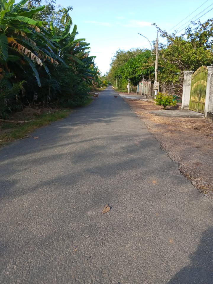 Đất thổ cư đường Lê Trọng Tấn 1890m² giá 4.2 tỷ - Cơ hội đầu tư tuyệt vời!