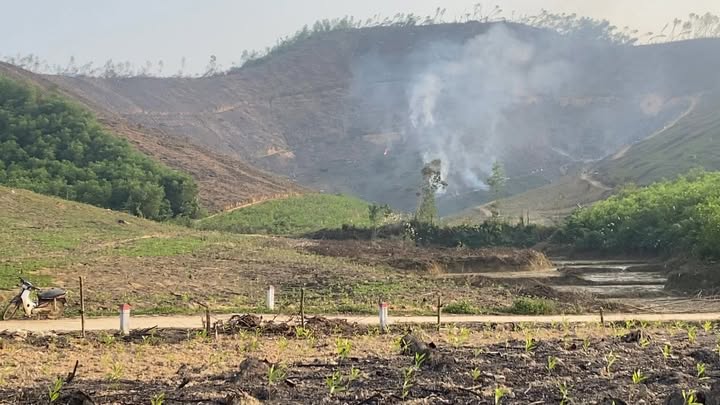 Đất rừng sản xuất Nghĩa Lộc 5ha - Cơ hội đầu tư hấp dẫn!