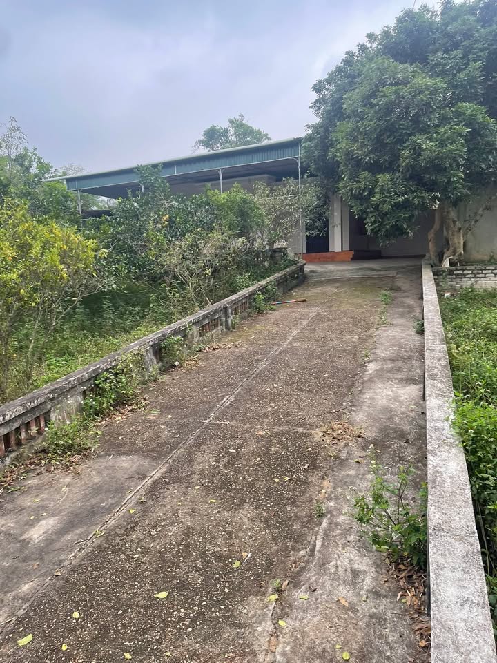 Nhà cho thuê Nghĩa Tiến, Nghĩa Đàn - Diện tích rộng rãi, thoáng mát!