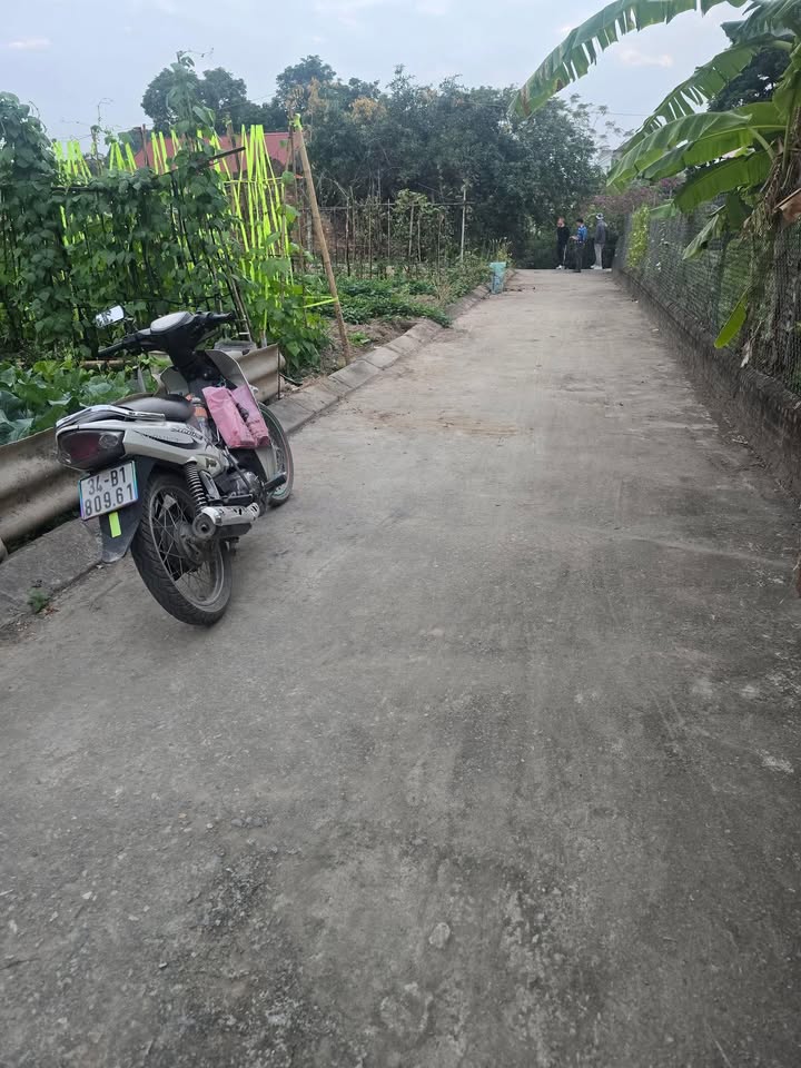 Đất lô góc Long Xuyên, Bình Giang 63m² - Gần KCN Đại An và Tân Trường!