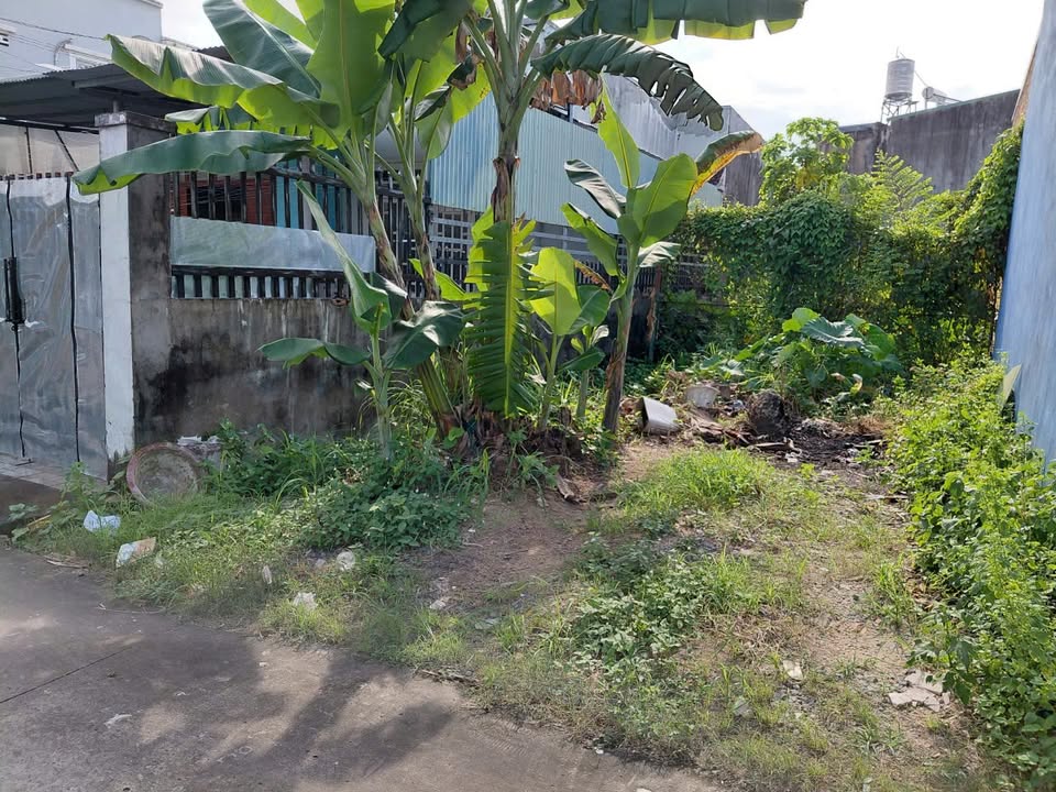 Đất nền Trảng Dài 150m² giá 2 tỷ - Sổ đỏ chính chủ, tiện ích đầy đủ!