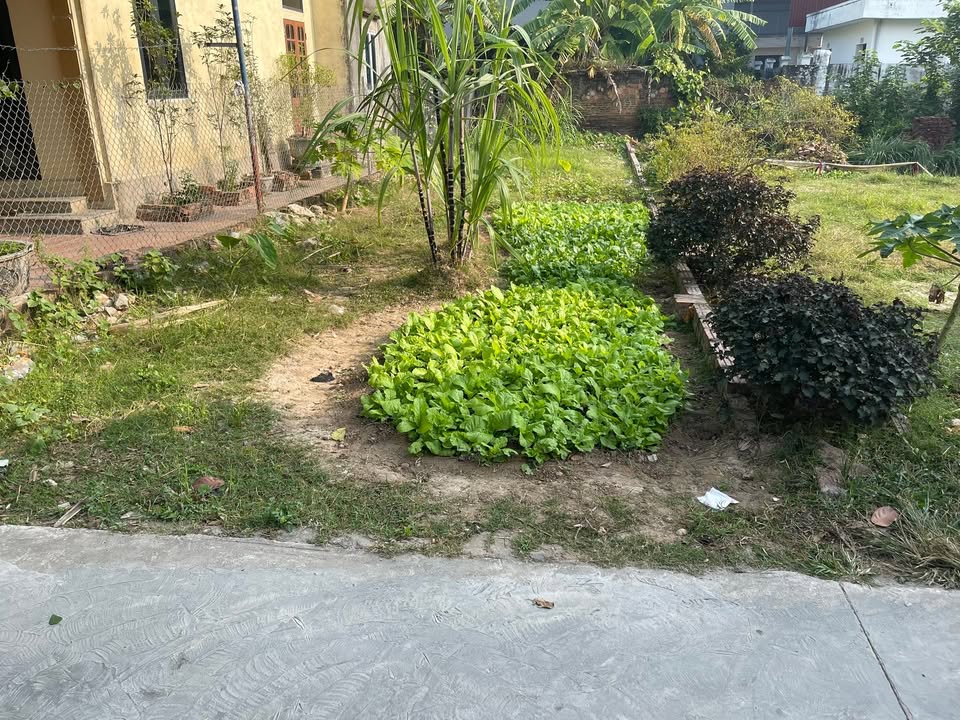 Đất 95m² Bắc Thượng, Quang Tiến - Chính chủ bán, sổ đỏ sẵn sàng giao dịch!