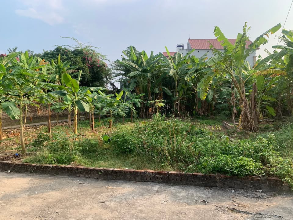 Đất nền Sóc Sơn 106.5m² giá 3 tỷ - Vị trí đắc địa, sổ đỏ chính chủ!