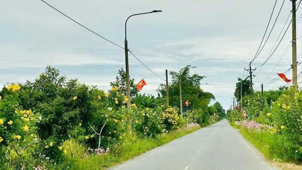 Đất nền mặt tiền Hương Lộ 6 Tân Triều 2500m² giá 14.5 tỷ - Cơ hội đầu tư không thể bỏ lỡ!