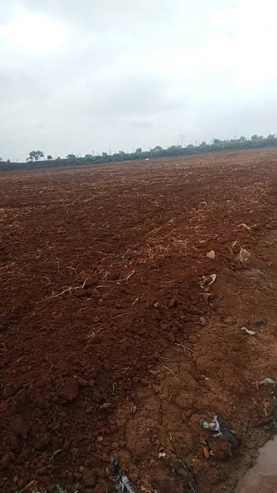 Đất nền Phúc Thọ Lâm Hà 53,000m² chỉ 9.9 tỷ - Đất đẹp, vị trí thuận lợi!