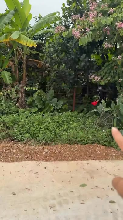 Đất nền An Mỹ, Mỹ Đức 84m² giá 2 tỷ - Lô góc 2 mặt thoáng cực đẹp!