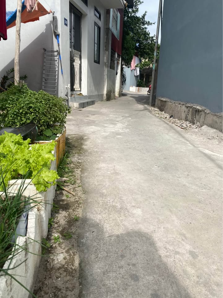 Đất Bạch Mai, Đồng Thái, 53m², giá 1.3 tỷ - Cơ hội đầu tư tuyệt vời!