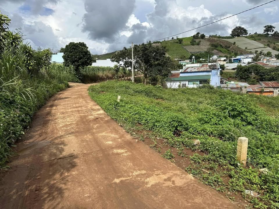 Lô đất Quảng Lập 1200m² giá 800 triệu - View sông thoáng mát!