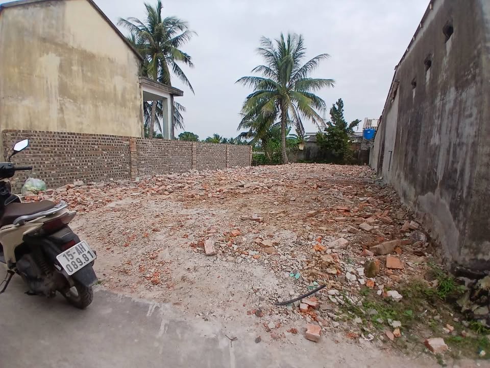 Đất Tự Cường Tiên Lãng 180m² giá 800 triệu - Đầu tư sinh lời ngay!