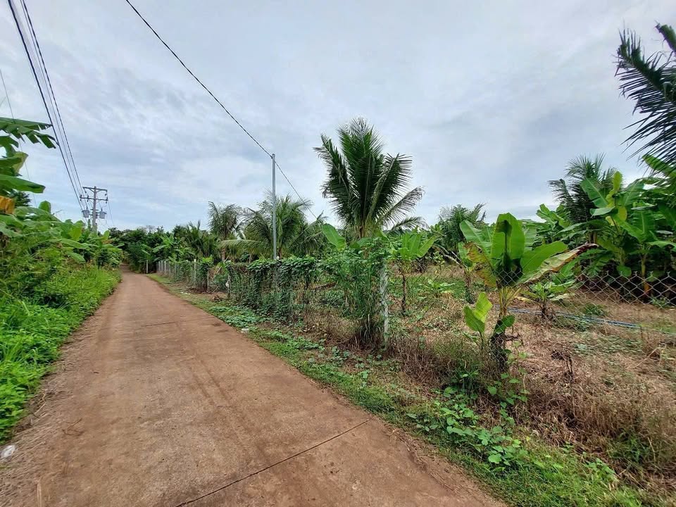 Đất Bảo Vinh Long Khánh 125m² giá chỉ 150 triệu - Cơ hội đầu tư hấp dẫn!