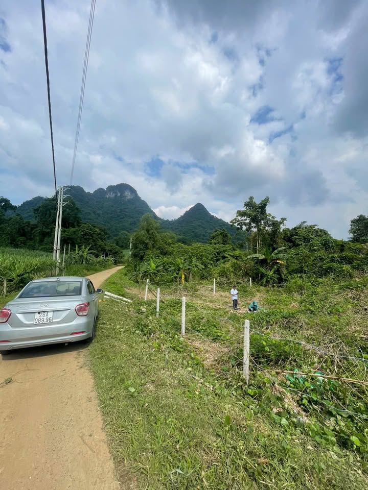 Đất nền 336m² tại Phú Vinh, Tân Lạc - Giá chỉ 260 triệu, sổ đỏ chính chủ!