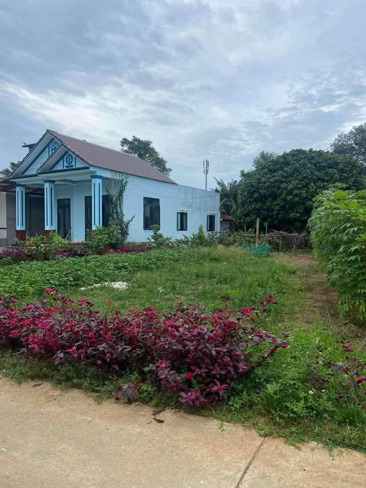 Đất nền Lâm Lang 2, Cam Lộ 196.8m² giá chỉ 200 triệu - Đầu tư sinh lời ngay!