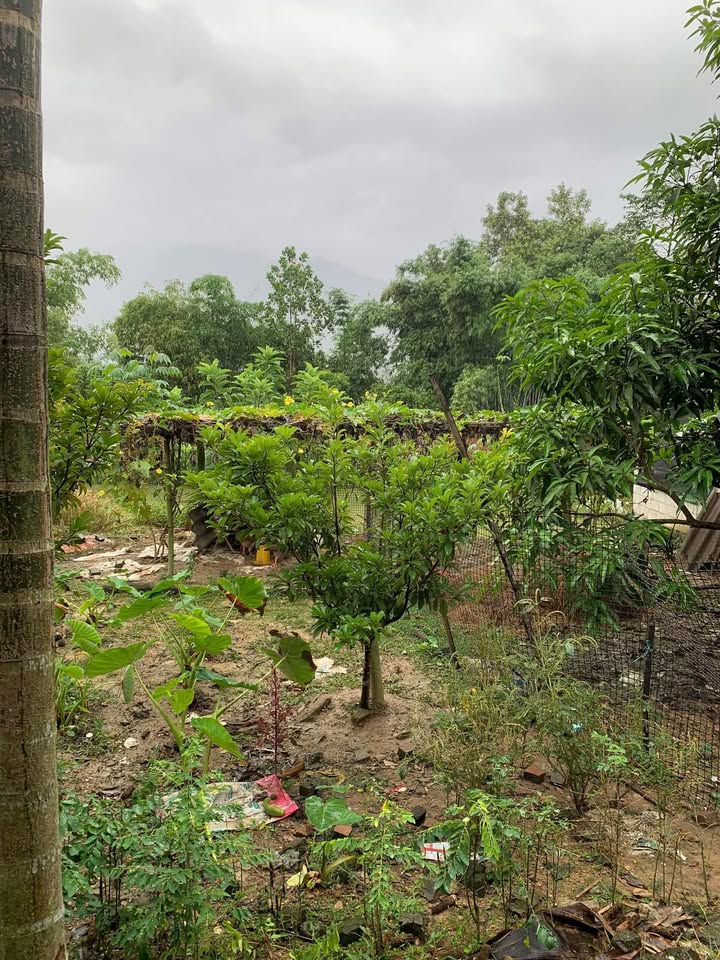 Đất nền 1050m² phường Phan Đình Phùng, Thái Nguyên – Vị trí đắc địa, tiềm năng tăng giá!