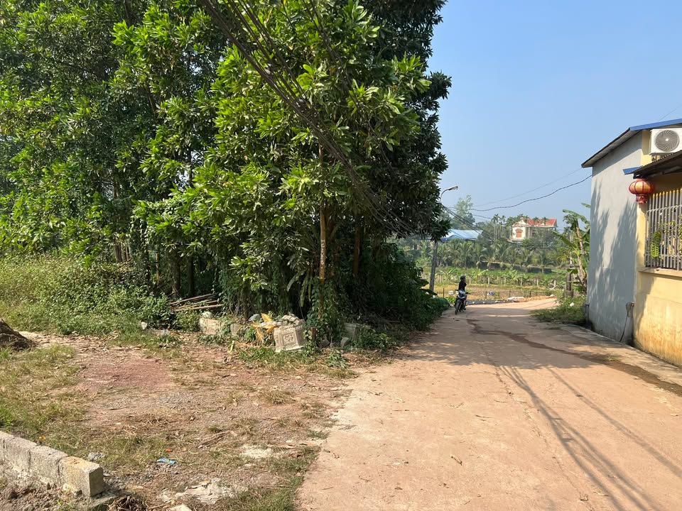 Đất nền Thái Sơn 268m² giá 1.6 tỷ - Đường ô tô tránh nhau, vị trí tiềm năng!