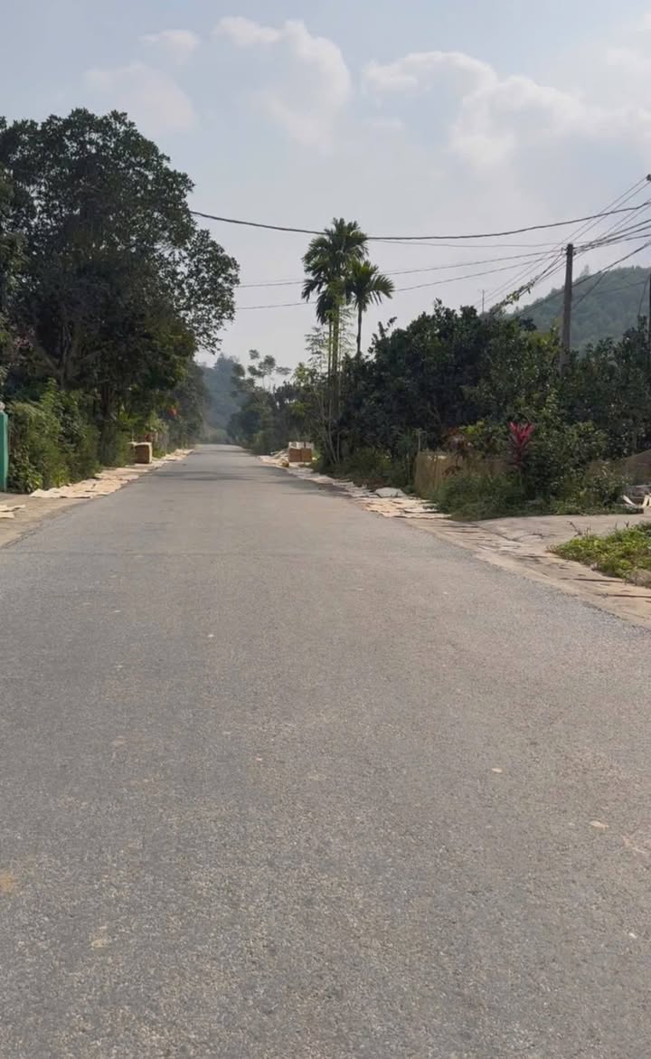 Đất mặt đường nhựa Tân Lập 256m² giá 400 triệu - Đầu tư sinh lời ngay!