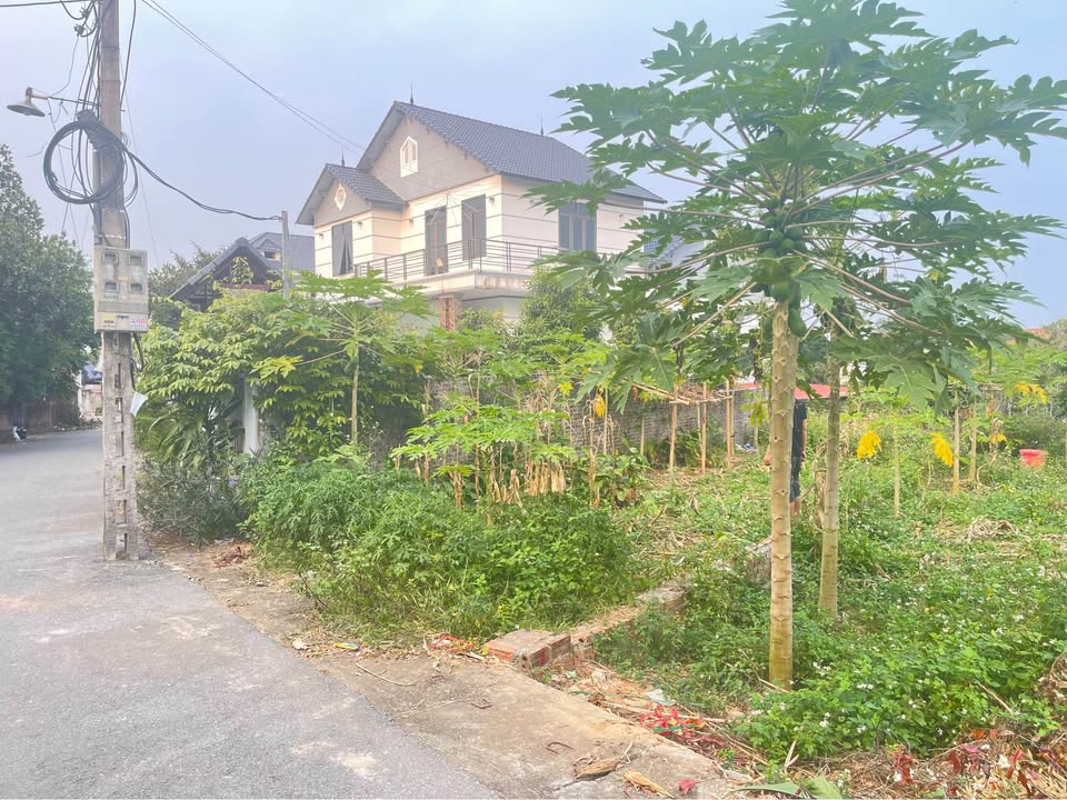 Đất nền Hương Vị Bình Xuyên 105,9m² giá 1 tỷ - Vị trí đắc địa gần KCN Thăng Long!