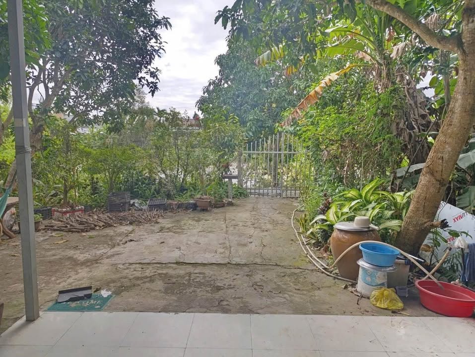 Đất vườn tại phường Mỹ Thới, Long Xuyên 700m² giá 2 tỷ - Cơ hội đầu tư tốt!