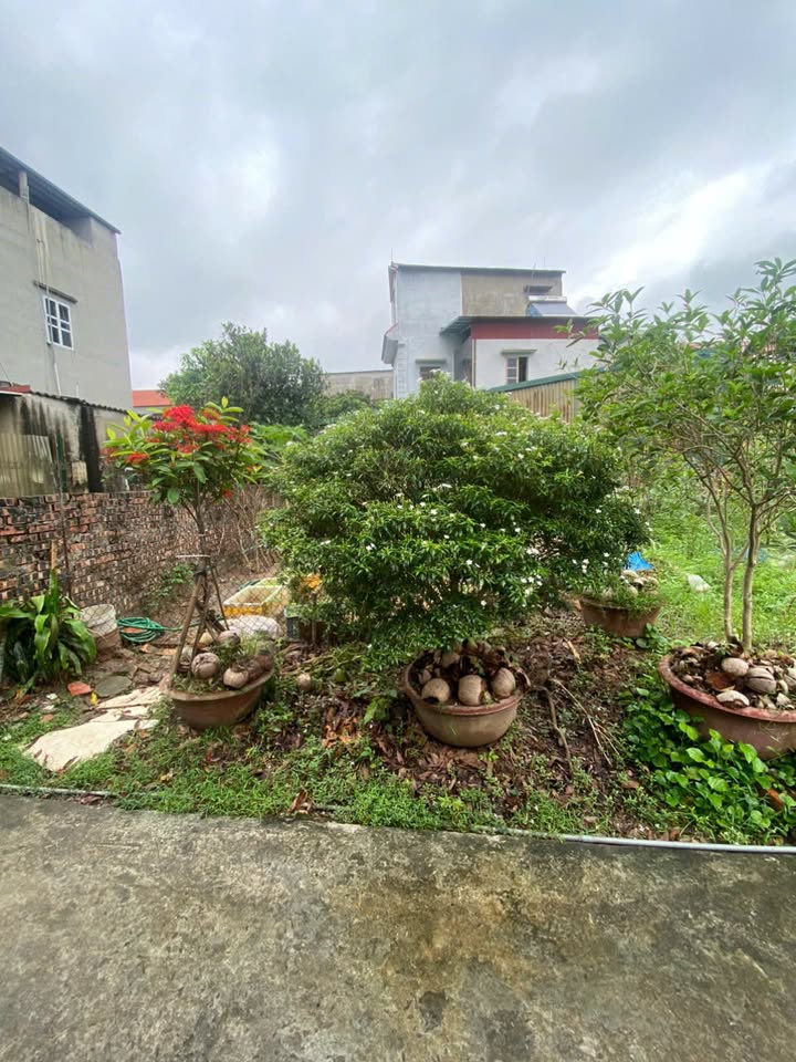 Đất Phố Sủi Gia Lâm 58m² giá 3,15 tỷ - Sổ đỏ sang tên nhanh chóng!