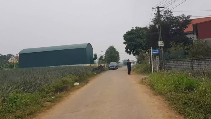 Đất thổ cư Yên Tâm, Yên Định 120m² - Cơ hội đầu tư sinh lời ngay!