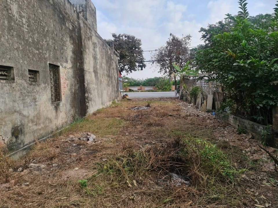 FrontHouse Đường Nguyễn Hữu Cầu Đồ Sơn 164m² giá 6 tỷ - Kinh doanh đắc địa!