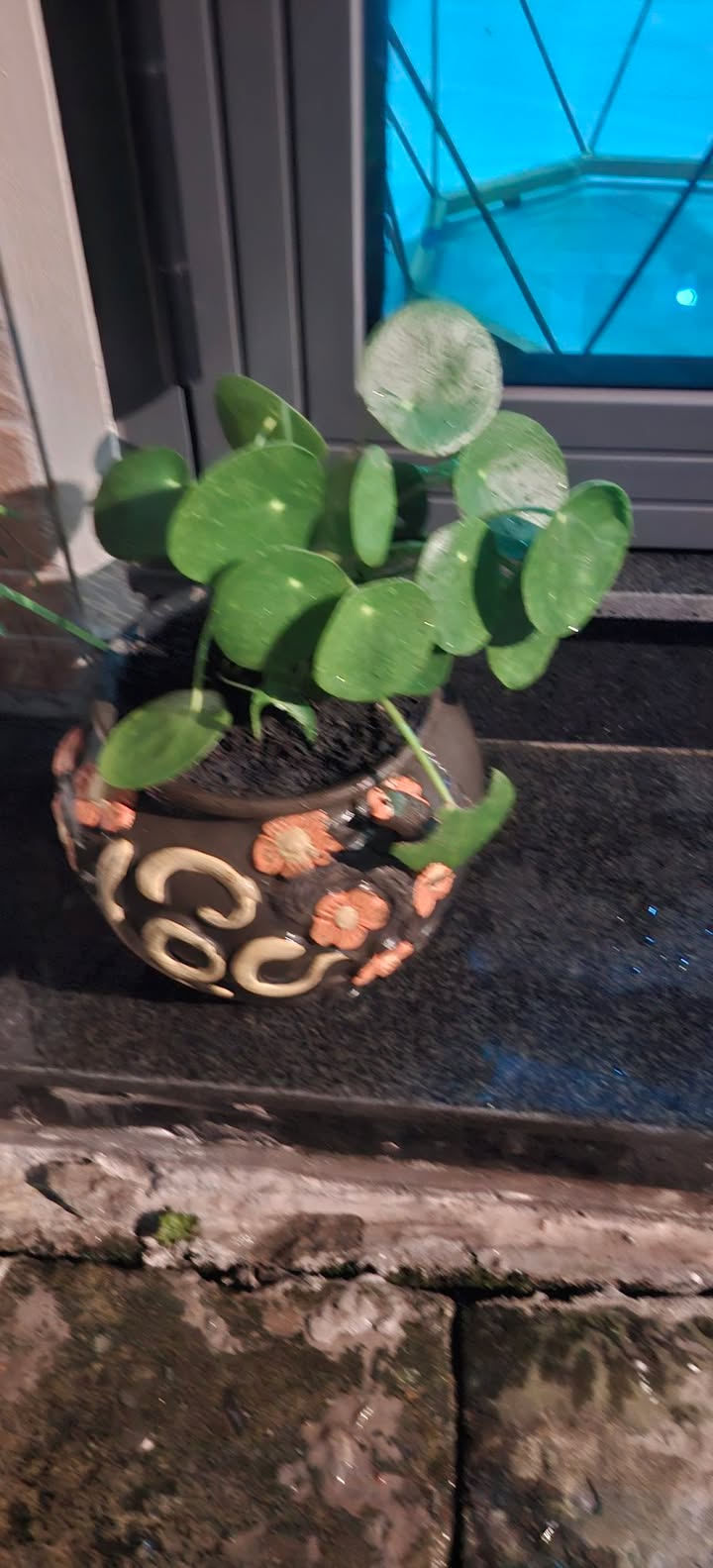 Bán gấp 7 phòng trọ tại Trung Mỹ-Tân Xuân 154m² giá chỉ 4.55 tỷ - Đầu tư sinh lời ngay!