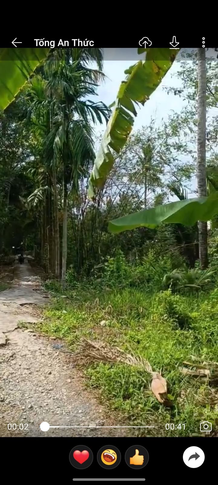 Đất vườn 2000m² xã Ba Trinh, huyện Kế Sách giá chỉ 300 triệu - Cơ hội đầu tư tốt!