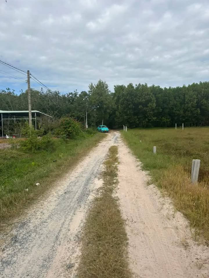 Đất chính chủ Tân Phong, Tân Biên 200m² giá 185 triệu - Sổ hồng sẵn, ô tô vào tận đất!