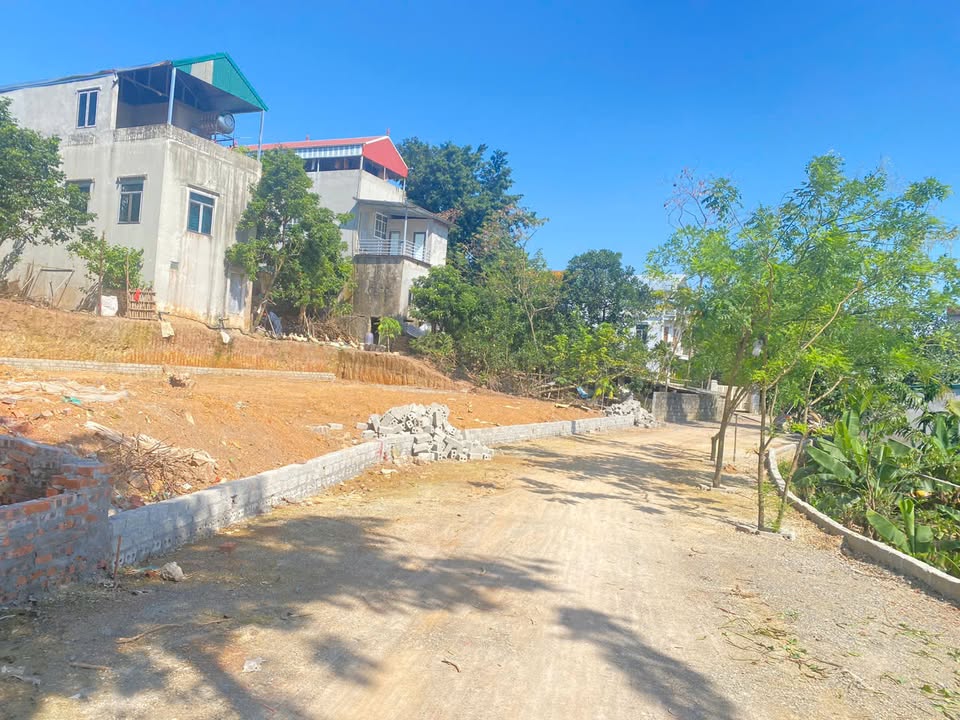 Đất nền phân lô 319m² tại xã Phụng Châu, giá chỉ 400 triệu - Cơ hội đầu tư tuyệt vời!