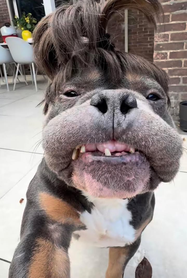 Nhà bán Hóc Môn 86m² giá 3.1 tỷ - Sổ hồng chính chủ, thương lượng nhẹ!