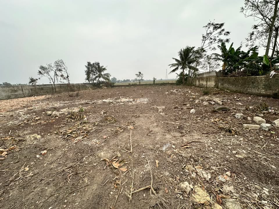 Lô đất Tân Phong 2000m² giá 3 tỷ - Cơ hội đầu tư hấp dẫn!