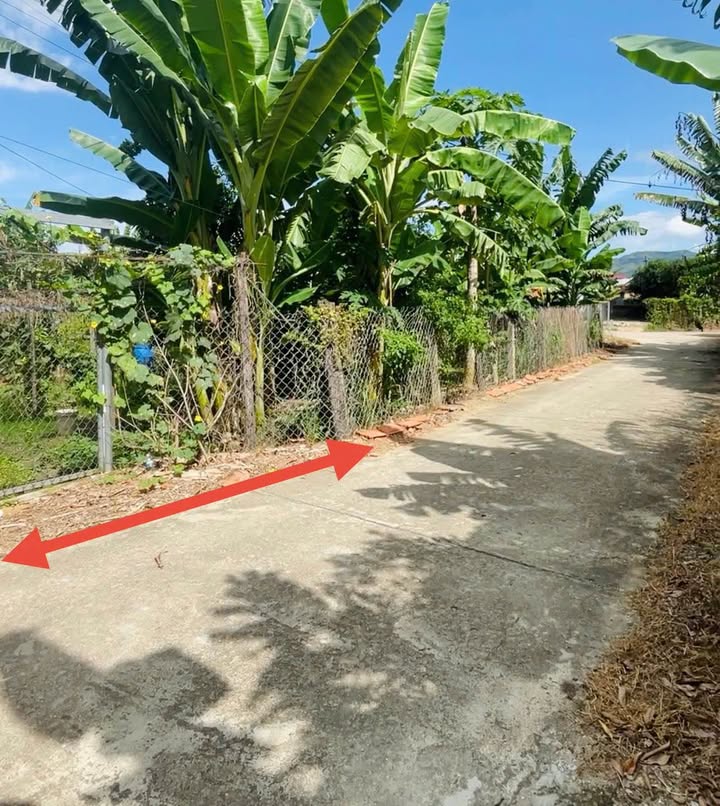 Đất nền Diên Lạc, Diên Khánh 114m² giá 850 triệu - Đầu tư sinh lời ngay!