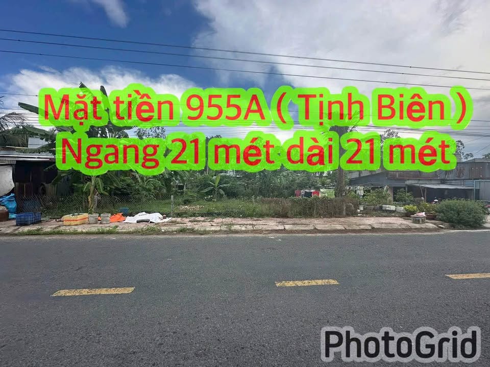 Đất nền biệt thự mặt tiền đường 955A, xã An Phú, huyện Tịnh Biên, 439m² - Cơ hội đầu tư sinh lời!
