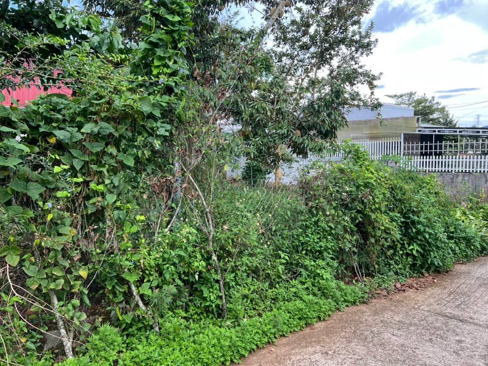 Đất nền Di Linh 230m² giá 1.3 tỷ - Khu dân cư sầm uất