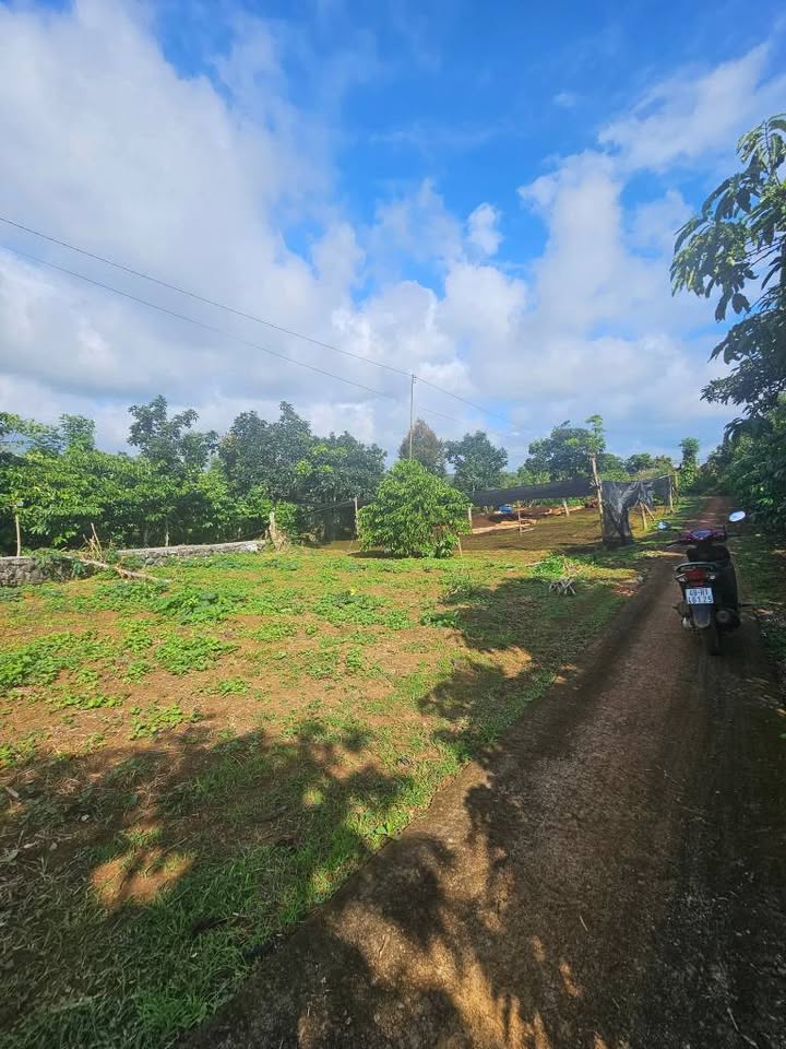 Đất thổ cư Lộc Đức 2000m² giá 1.55 tỷ - Vị trí đắc địa, thuận tiện kinh doanh!