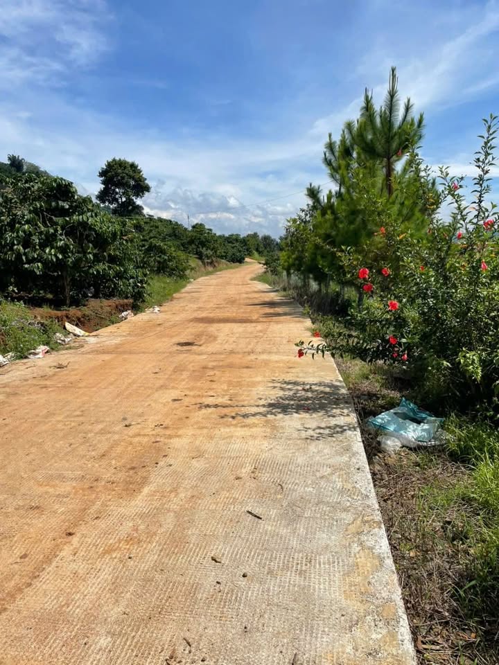 Đất nền Di Linh Lâm Đồng 2000m² giá chỉ 400 triệu - Sổ đỏ chính chủ!