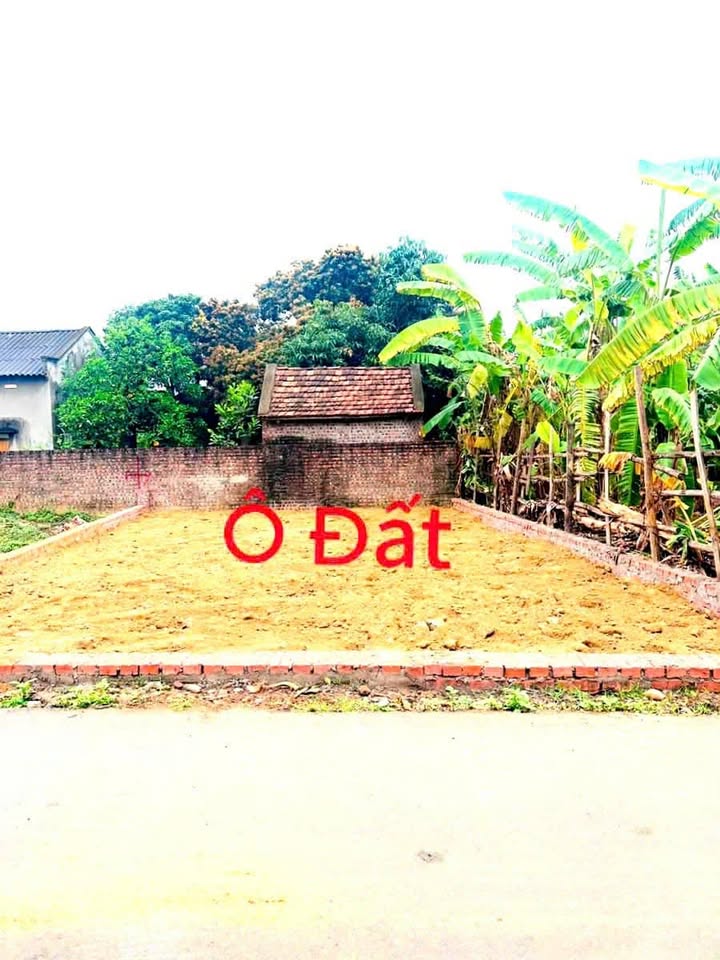 Đất nền Hương Vị, Hương Sơn, Bình Xuyên 83m² chỉ 1 tỷ - Cơ hội đầu tư sinh lời cao!