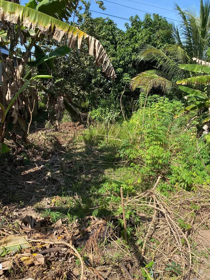 Đất nền ấp Bình Trung, xã Bình Thành 230m² giá 750 triệu - Cơ hội đầu tư hấp dẫn!