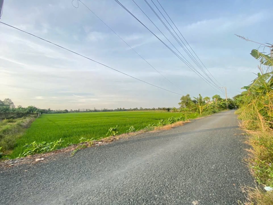 Đất lúa Tây An Bờ Hồ, Mỹ Thới, Long Xuyên 10.613m² - Giá cực tốt, thương lượng!