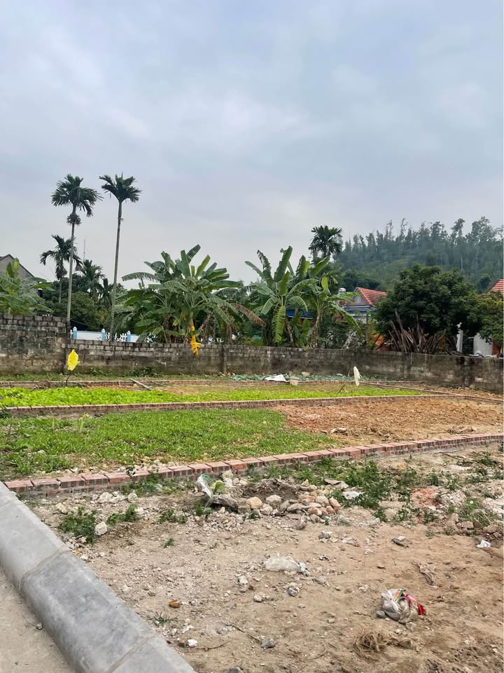 Đất nền Lưu Kiếm Thủy Nguyên 60m² giá 400 triệu - Cơ hội đầu tư tuyệt vời!