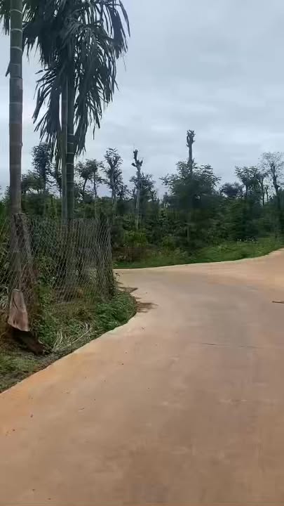 Đất Farm 1ha Cư Suê, Cư M'gar giá 8 tỷ - Tiềm năng đầu tư cực lớn!