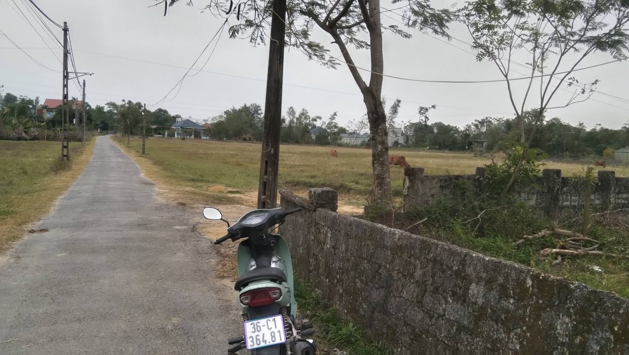 Đất nền tổ dân phố Đức Thành, Ninh Hải 140m² giá 1.1 tỷ - Đầu tư sinh lời ngay!