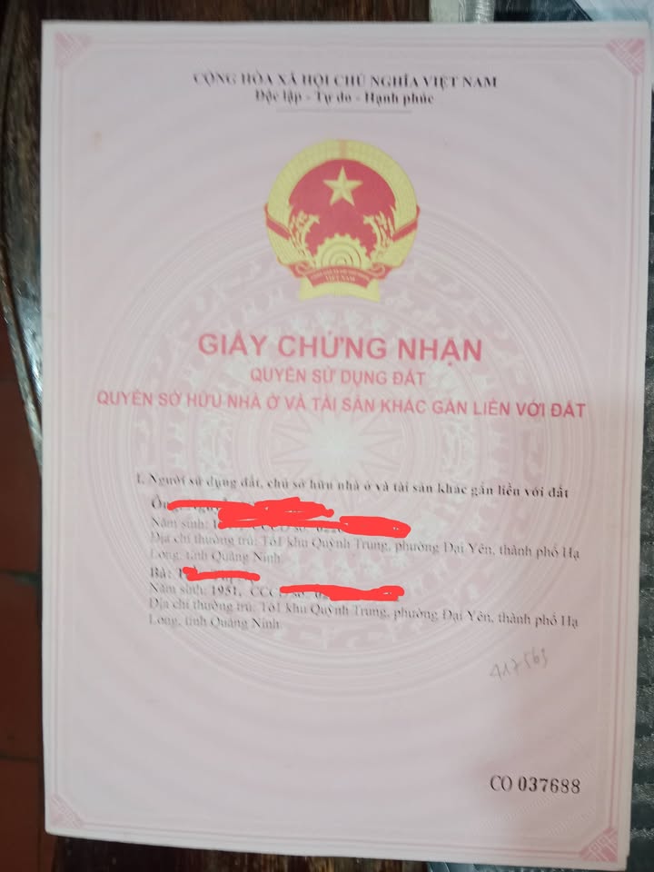 Đất nền Đại Yên Hạ Long 500m² giá 10 tỷ - Ngắm trọn Hạ Long Xanh