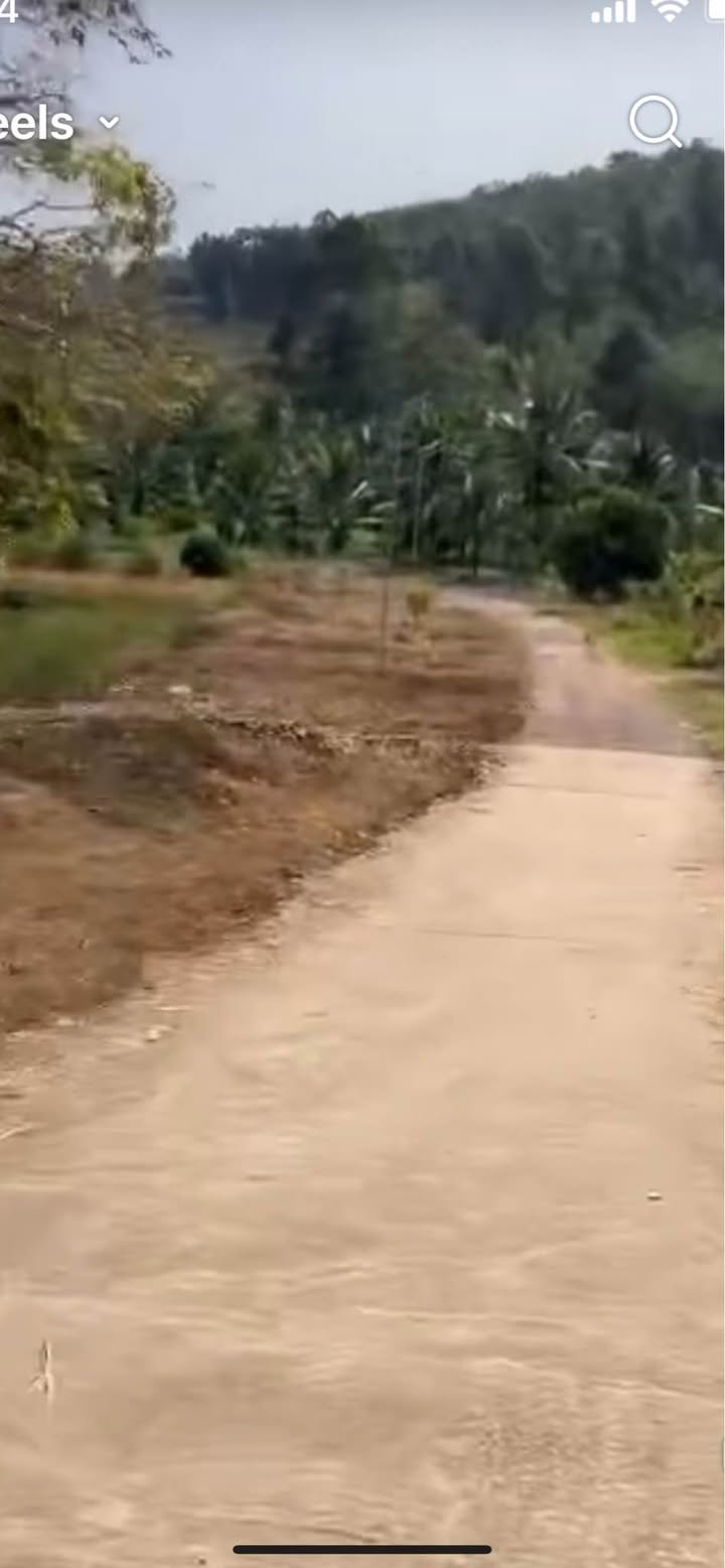 Đất nền 1 sào Ngọc Định, Định Quán chỉ 500 triệu - Sổ đỏ sẵn sàng!