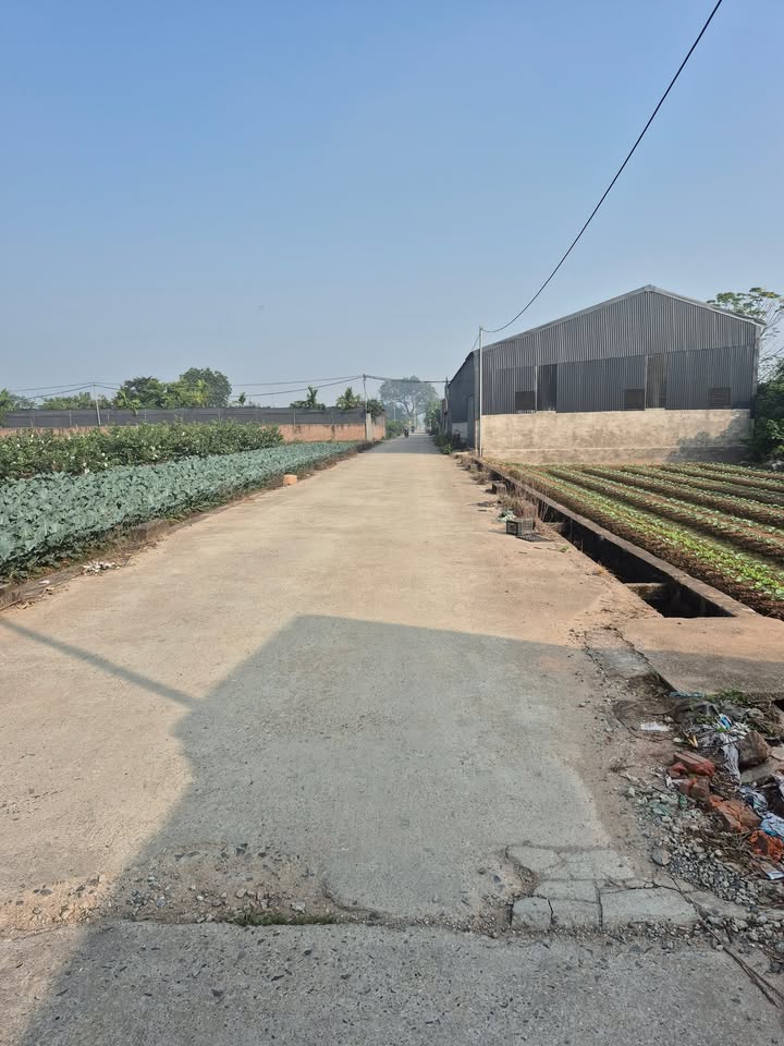 Đất nền An Thượng Hoài Đức 576m² giá thỏa thuận - Cơ hội đầu tư hiếm có!