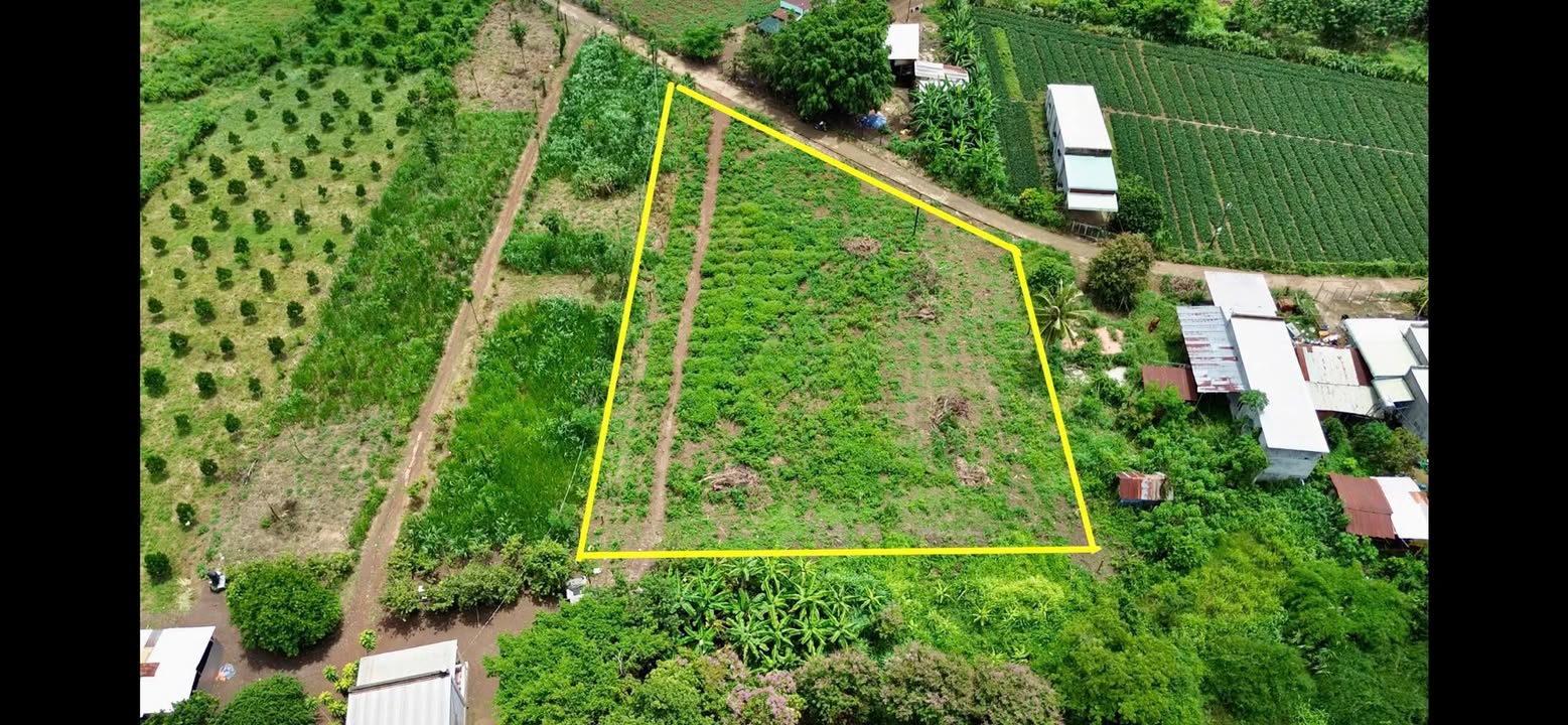 Đất nền Tân Thành Bù Đốp 2300m² giá chỉ 430 triệu - Cơ hội đầu tư hấp dẫn!