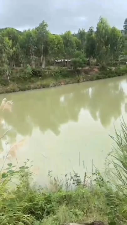 Đất nông nghiệp An Tân 8000m² giá 1.8 tỷ - Cơ hội đầu tư lý tưởng!