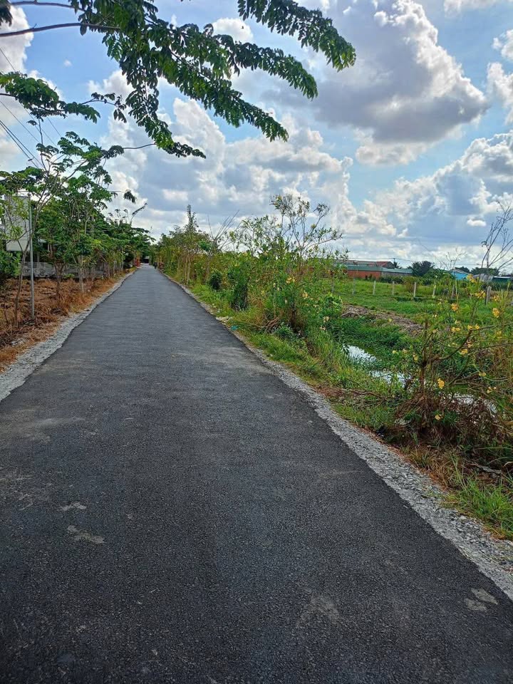 Đất lúa 1,8 công mặt tiền kênh đường An Thạnh - Châu Thành, Long An chỉ 1,8 tỷ!