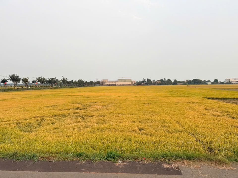 Nhà Củ Chi 23.92m² giá 650 triệu - Cần bán gấp chính chủ!