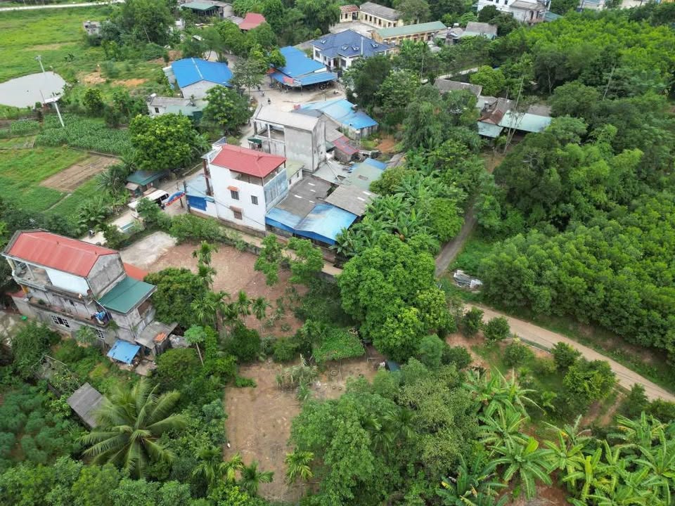 Đất nền Yên Luật, Hạ Hòa 173m² - Giá cực hấp dẫn chỉ vài trăm triệu!