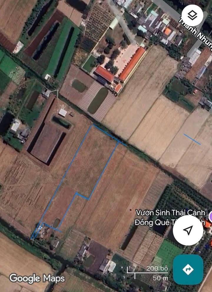 Đất nền Tân Thành Gò Công 7000m² giá chỉ 1.96 tỷ - Cơ hội đầu tư tuyệt vời!